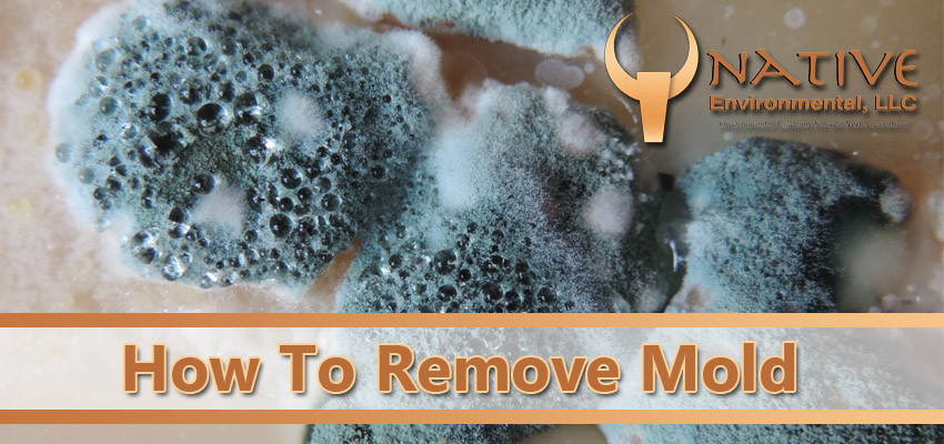 How to remove mold from clearance sponge