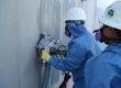 Lead Paint Removal Cost