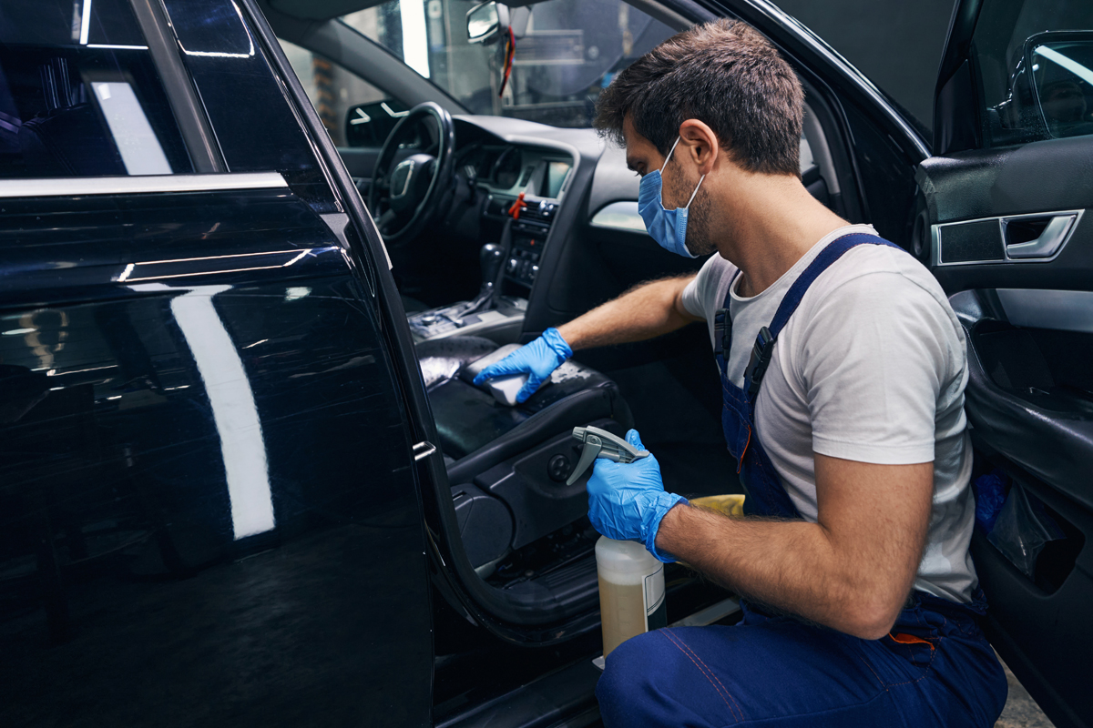 How To Get Mold Out Of Car