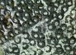 How Long Does Mold Remediation Take