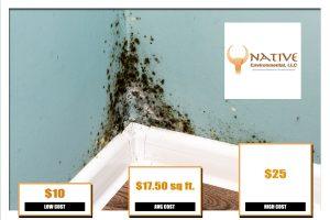 Mold Remediation Cost
