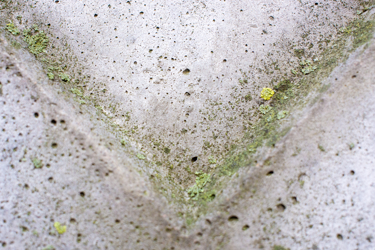 Does Lysol Kill Mold