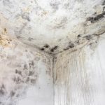 Mold Growth Signs Of Water Damage In Walls