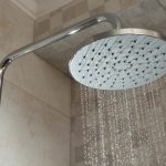 How To Clean Shower Mold