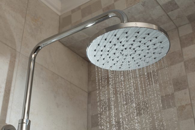 How-To-Clean-Shower-Mold