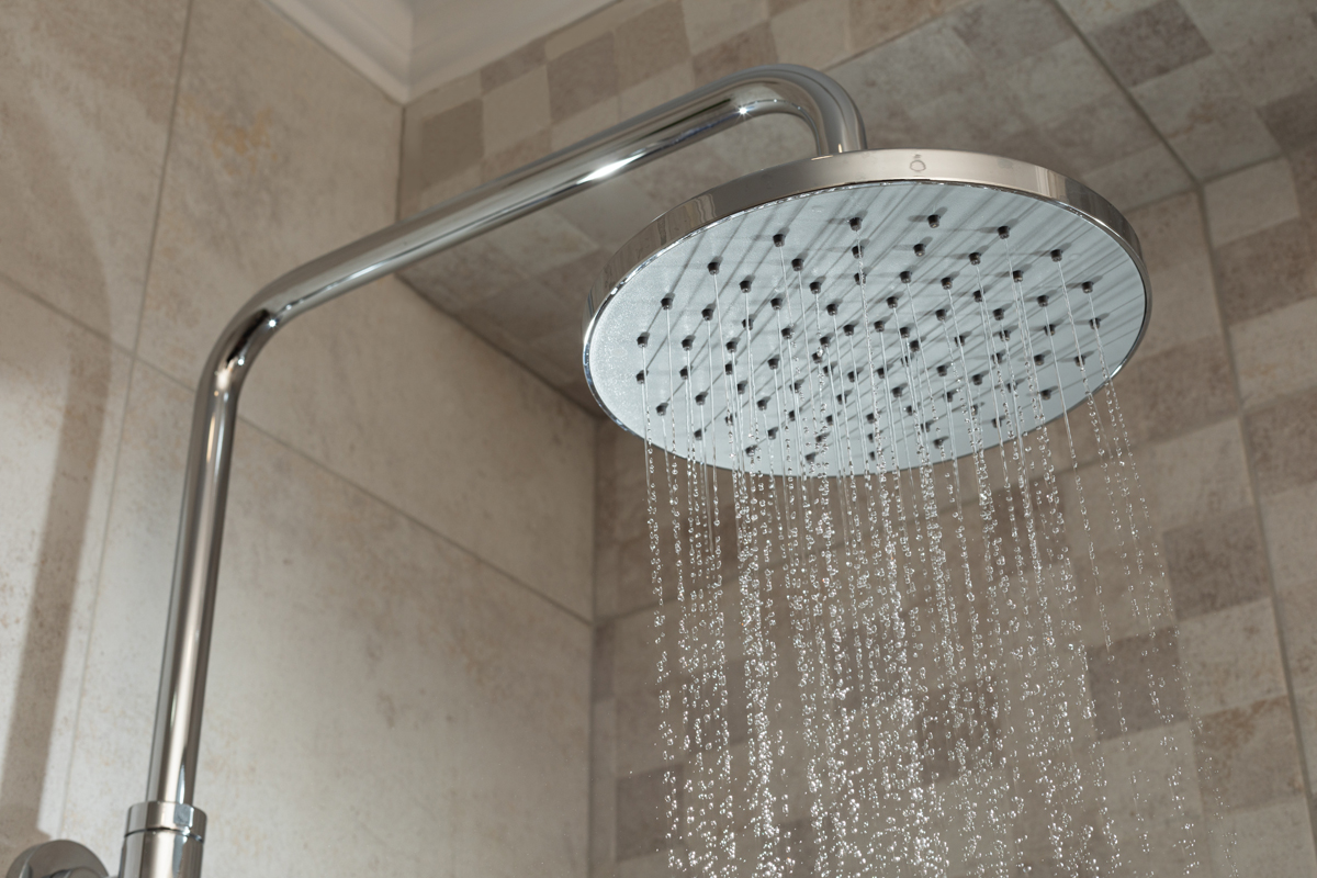 How To Clean Shower Mold