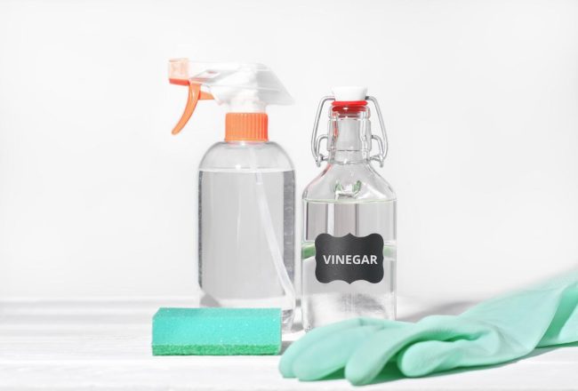 Does Vinegar Kill Mold Does Vinegar Kill Mold