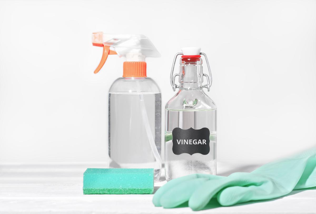 Does Vinegar Kill Mold